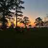 vmnflowood